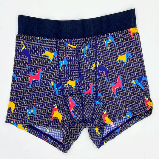 HOM HO1 ナイロンボクサーブリーフ 402685-40I0RA(HMB732685-30)