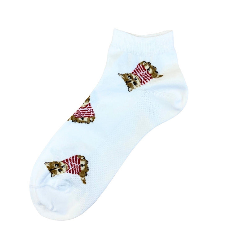 PAUL&JOE アンクル　お座りヌネットボーダーＴ総柄 (PJM662084)