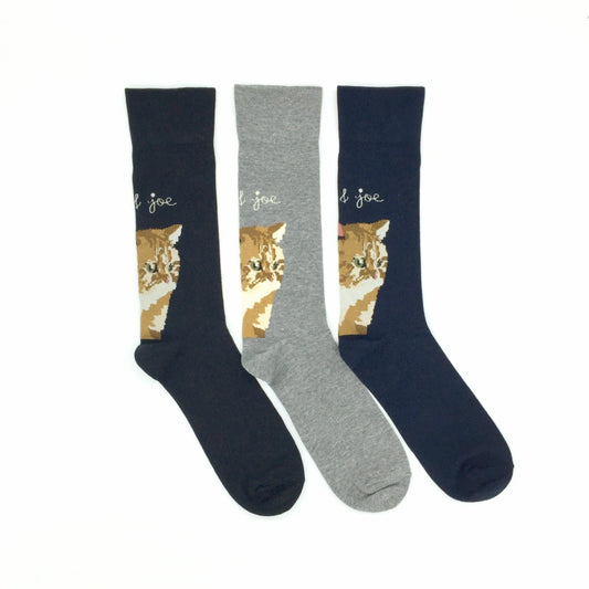 PAUL & JOE クルー丈ヌネット(PJM634004)