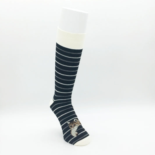 PAUL & JOE クルー丈ボーダーヌネット（PJM634005）