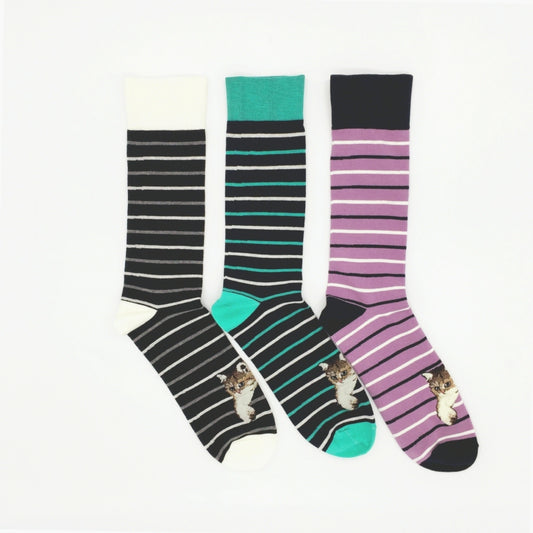 PAUL & JOE クルー丈ボーダーヌネット(PJM634005)